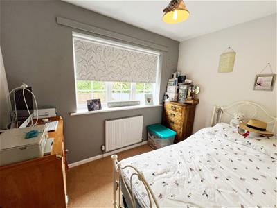 Picture 17